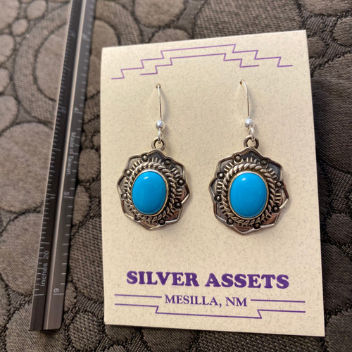 Earrings - sleeping beauty turquoise